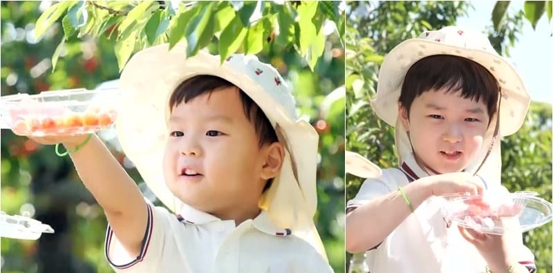 KBS 2TV '슈퍼맨이 돌아왔다'