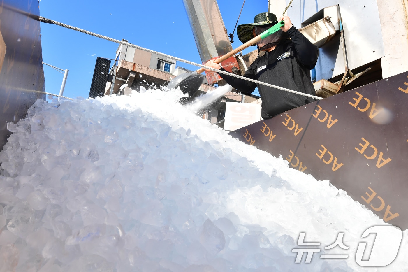 경북 포항시 항구동 제빙공장에서 상인이 죽도시장 어물전에 판매할 얼음을 화물차에 싣고 있다. 포항에는 폭염경보가 발효 중이다.2026.7.22 ⓒ 뉴스1 최창호 기자