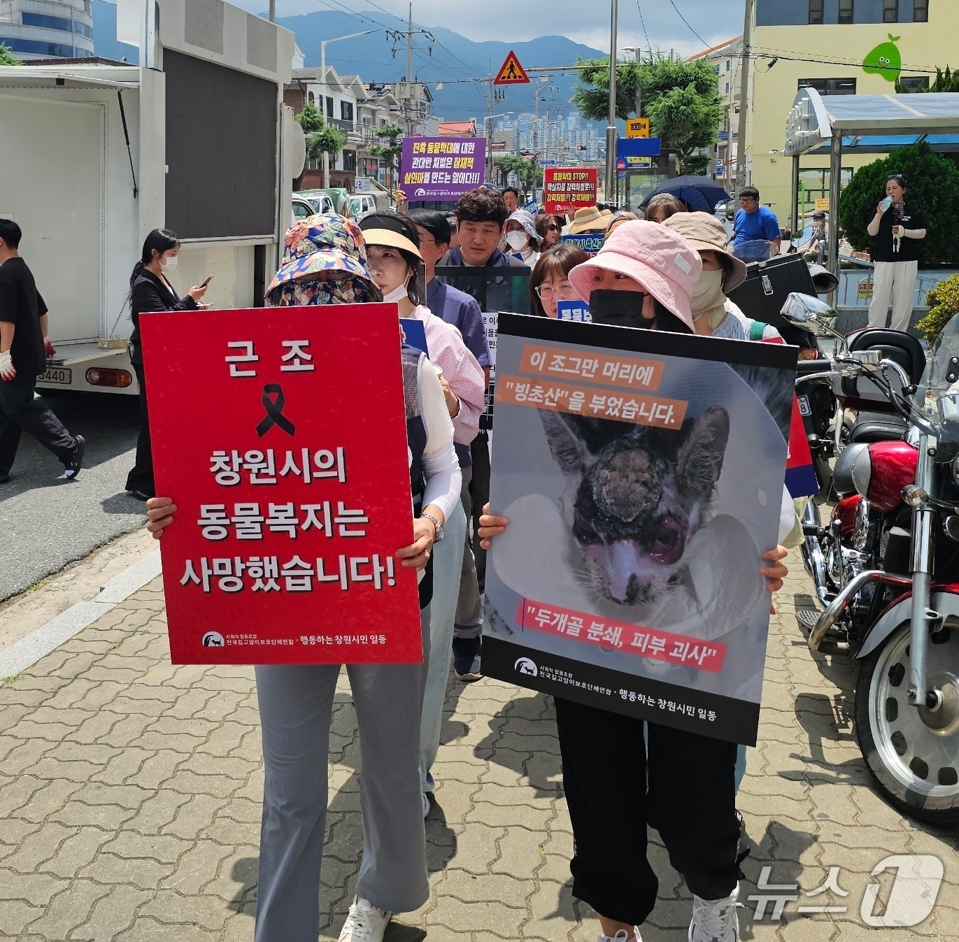 전국길고양이보호단체연합과 행동하는 창원시민 일동이 23일 창원시 성산구에서 길고양이 빙초산 학대 사건을 규탄하며 행진을 벌이고 있다. 2026.7.23 ⓒ 뉴스1 박민석 기자