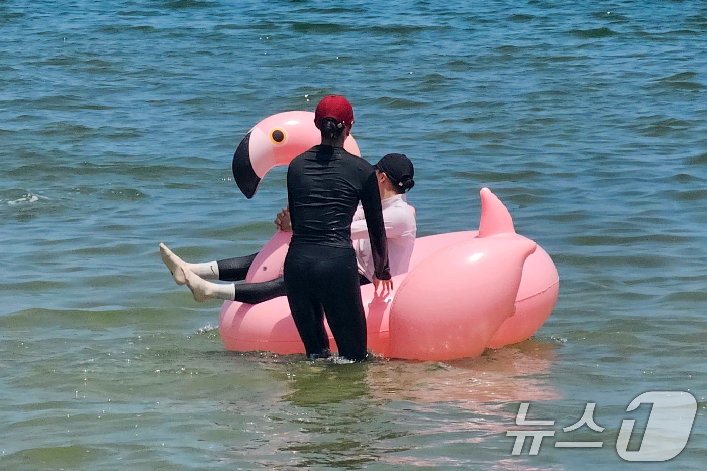 뉴스1 자료사진 ⓒ 뉴스1 최창호 기자