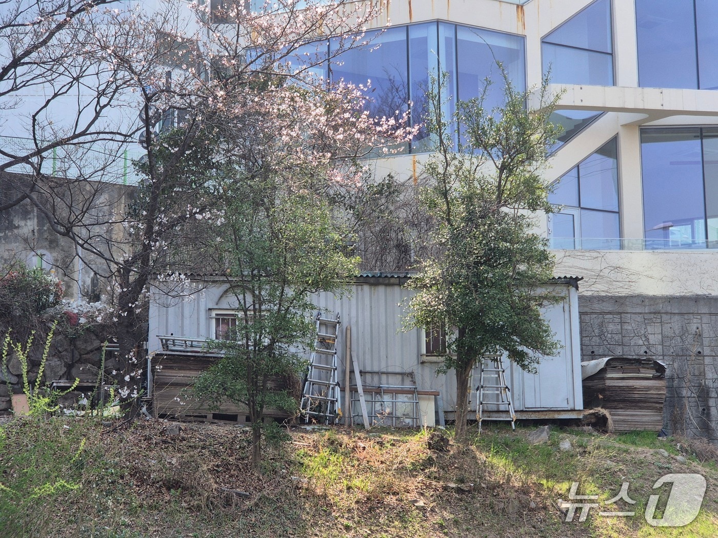 울산 남구 여천천의 불법 시설물.(울산 남구 제공. 재판매 및 DB금지)/뉴스1