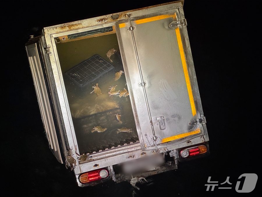 불법 조업한 꽃게를 싣고 유통하려던 1톤급 냉동탑차가 해상으로 추락했다.(군산해경 제공. 재판매 및 DB금지)