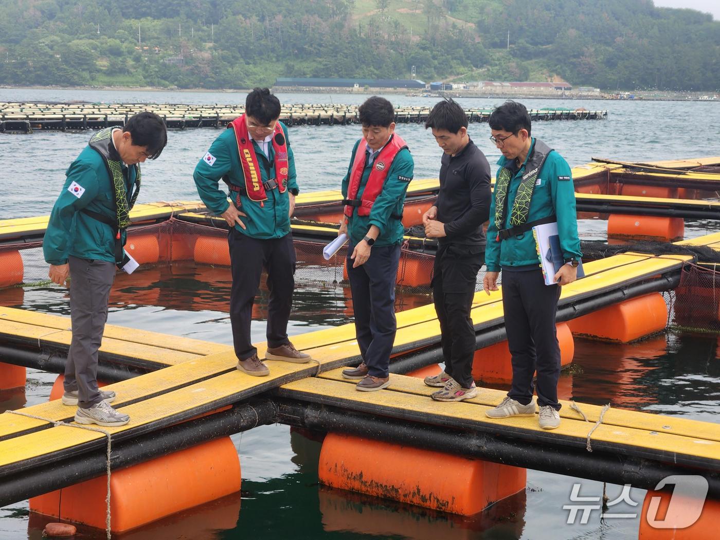 경남도 합동 현장지도반이 지역 내 양식장을 찾아 고수온 대응 상황을 점검하고 있다.(경남도 제공. 재판매 및 DB금지)