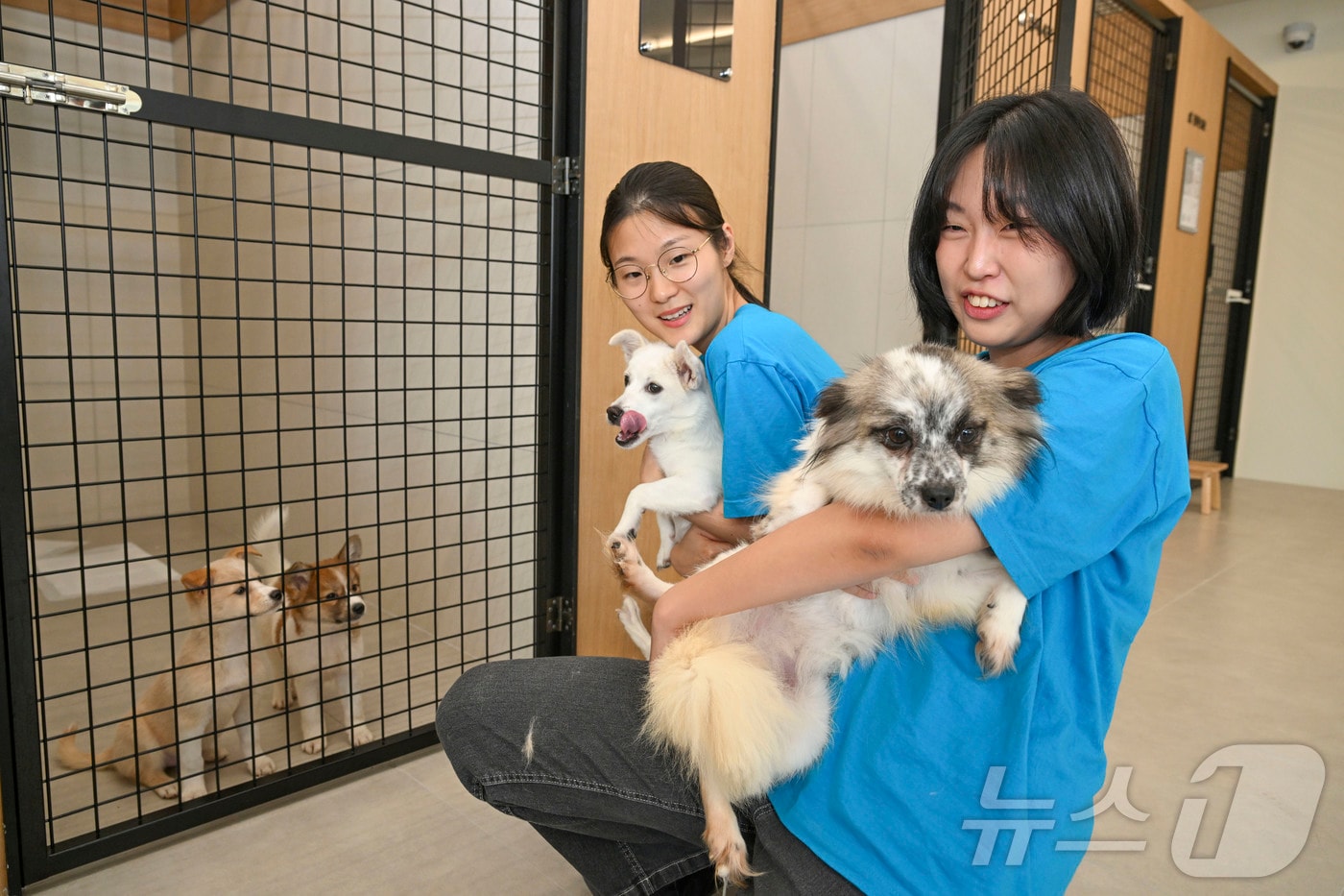 전남광주 동구 유기동물 보호, 입양센터 피스멍멍의 모습. (동구 제공. 재판매 및 DB 금지)