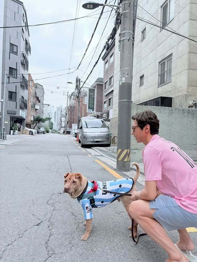 고지용 SNS