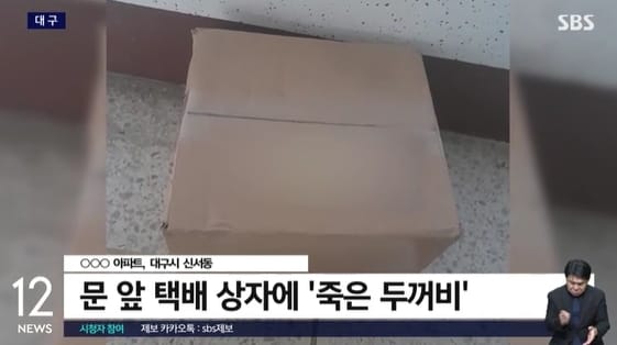 SBS