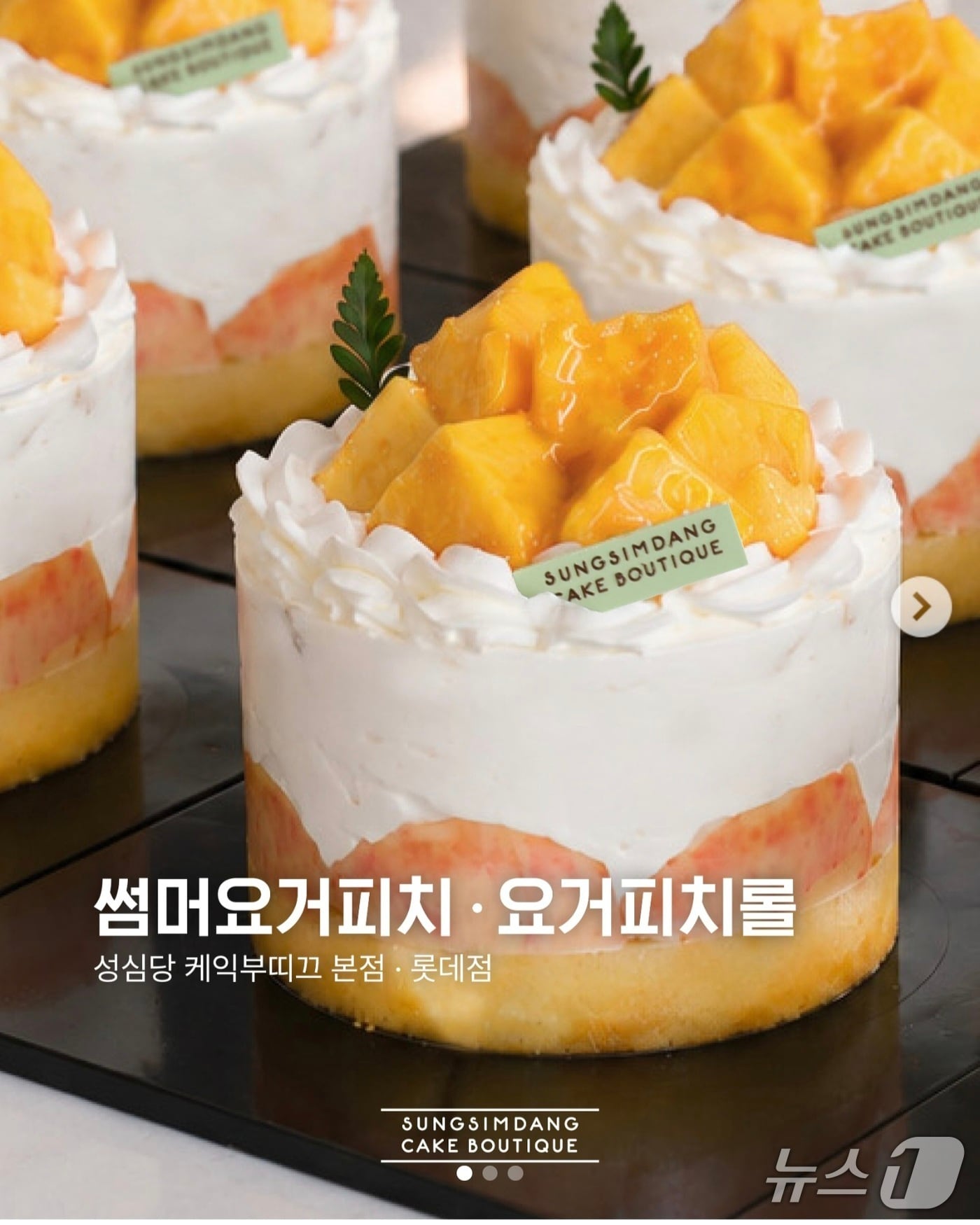 성심당 요거 피치 사진(영천시 제공. 재판매 및 DB금지)/뉴스1