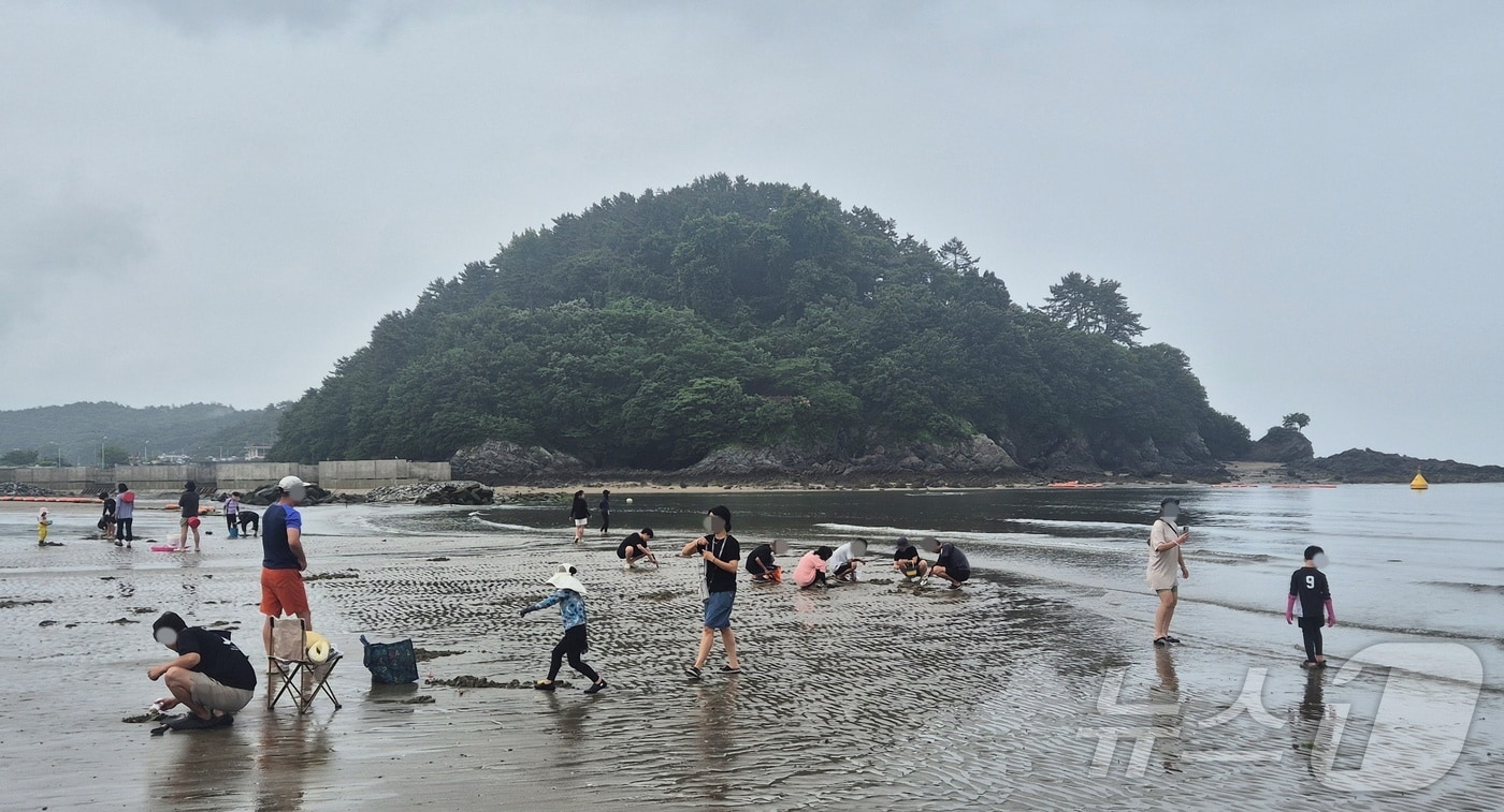 4일 전북 부안군 변산해수욕장을 찾은 피서객들이 조개를 잡으며 주말을 보내고 있다. 2026.7.4 ⓒ 뉴스1 강교현 기자