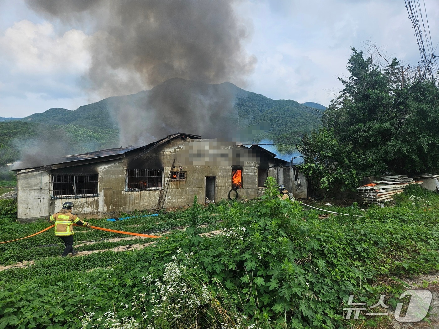 4일 오후 3시 13분께 전북 완주군 고산면의 한 돈사에서 불이 났다.(전북소방 제공, 재판매 및 DB금지)2026.7.4/뉴스1