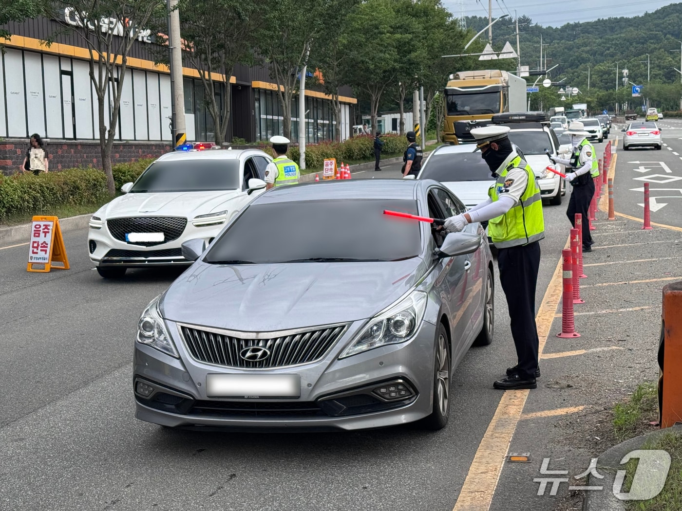 7일 경북 포항남부경찰서가 본격적인 피서철을 앞두고 숙취 운전 집중 단속을 실시 중이라고 밝혔다.(포항남부경찰서제공, 재판매 및 DB금지) 2026.7.7/뉴스1