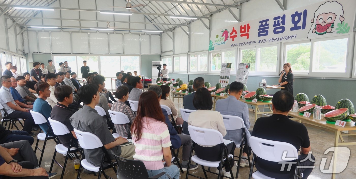 경기도농업기술원이 7일 농업과학연구관에서 진행한 수박 신품종 평가회. (경기도 제공)