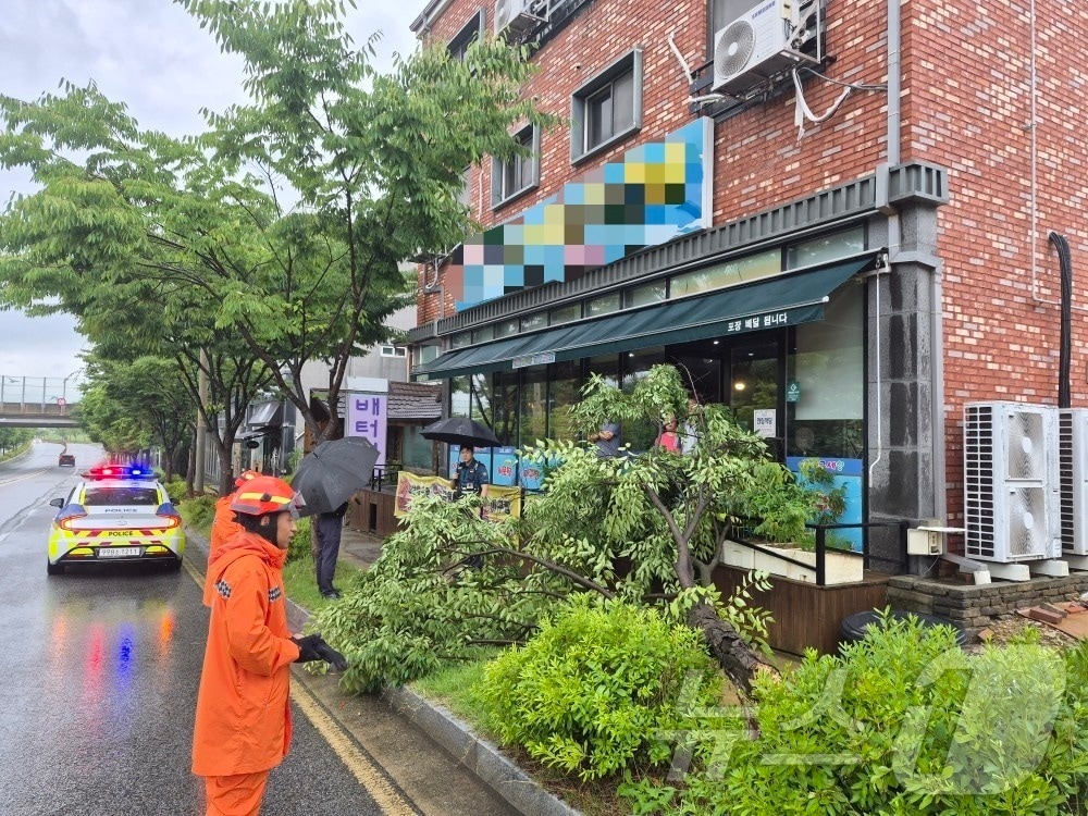 전북 전역에 강한 비가 내린 8일 전북 완주군 이서면의 한 가게 앞에 나무가 쓰러져 있다.(전북소방본부 제공. 재판매 및 DB금지) 2026.7.8 ⓒ 뉴스1 문채연 기자
