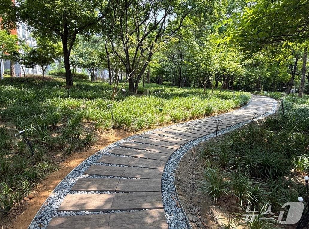 대구 서구 그린웨이 단풍원.(대구 서구 제공. 재판매 및 DB금지)