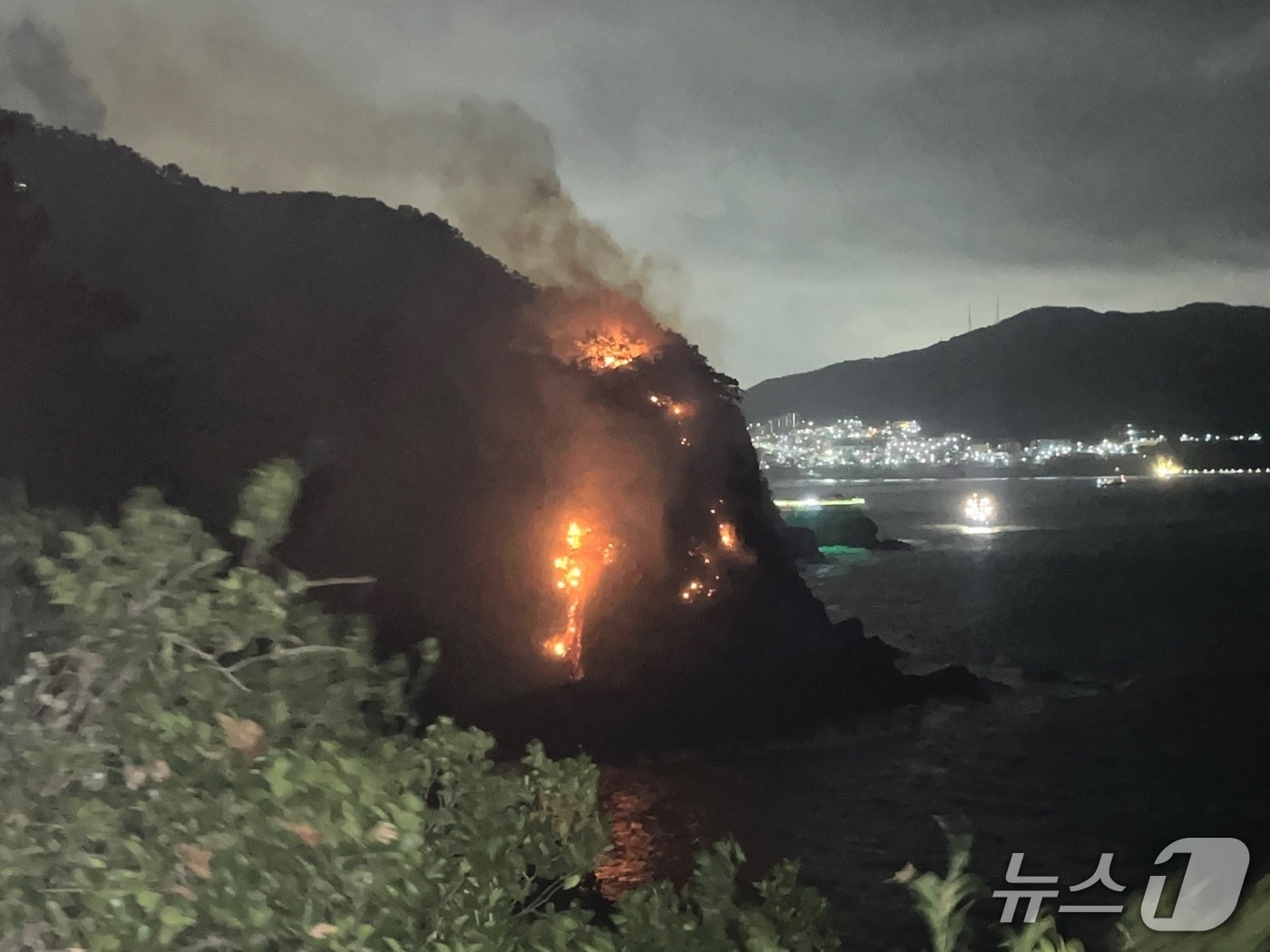 10일 오전 0시 20분쯤 부산 서구 암남동 한 야산에서 불이 났다. 사진은 화재 현장 모습. (부산소방재난본부 제공. 재판매 및 DB금지)