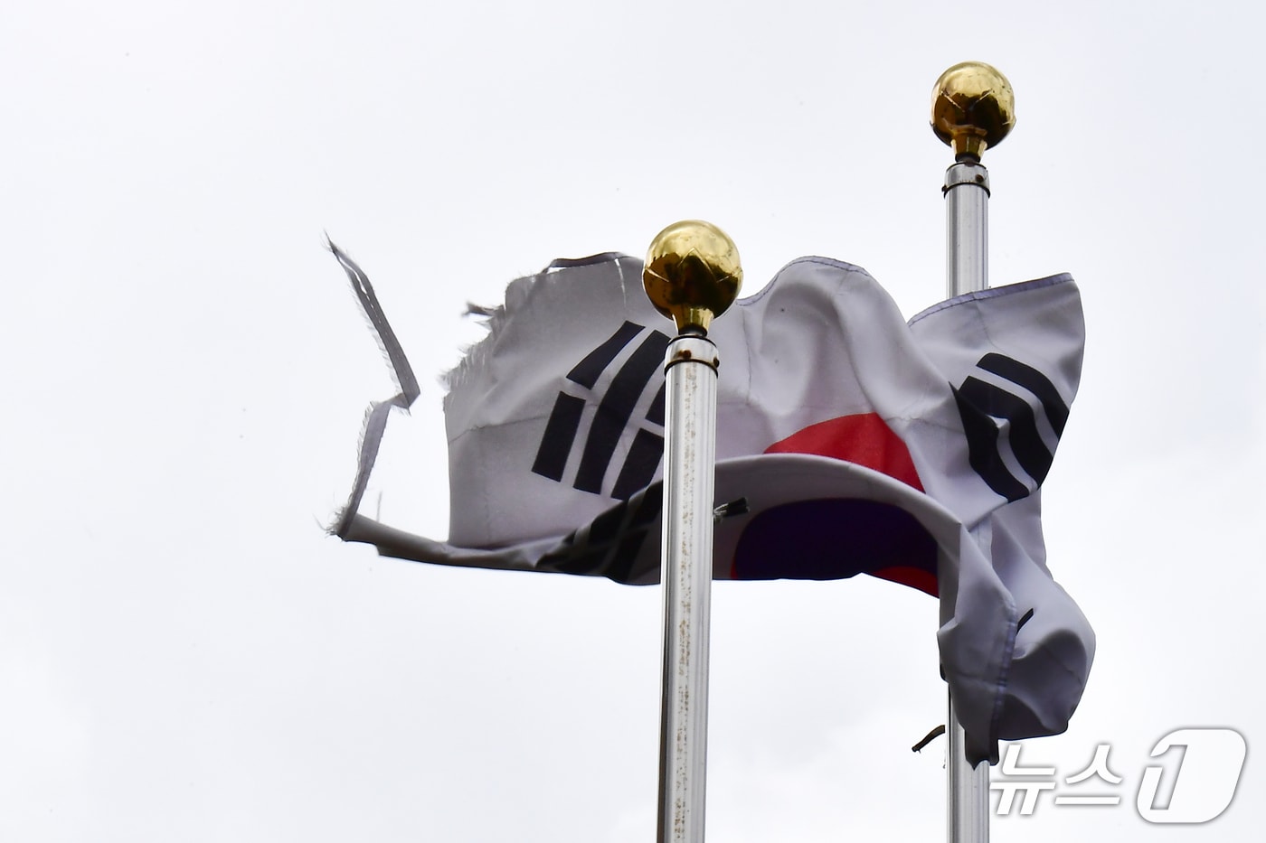 11일 오전 고용노동부 포항지청 국기 게양대에 훼손된 태극기가 펄럭이고 있다. 2026.8.12/뉴스1 최창호 기자