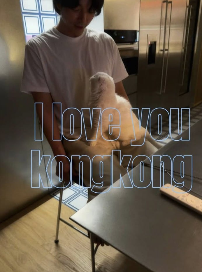 배우 공유 인스타그램