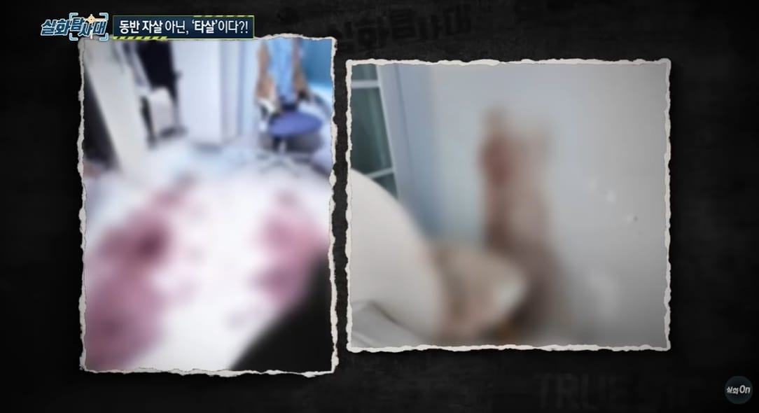 만삭 아내 다리 절단된 채 추락... 의정부 일가족 사건 제보 충격
