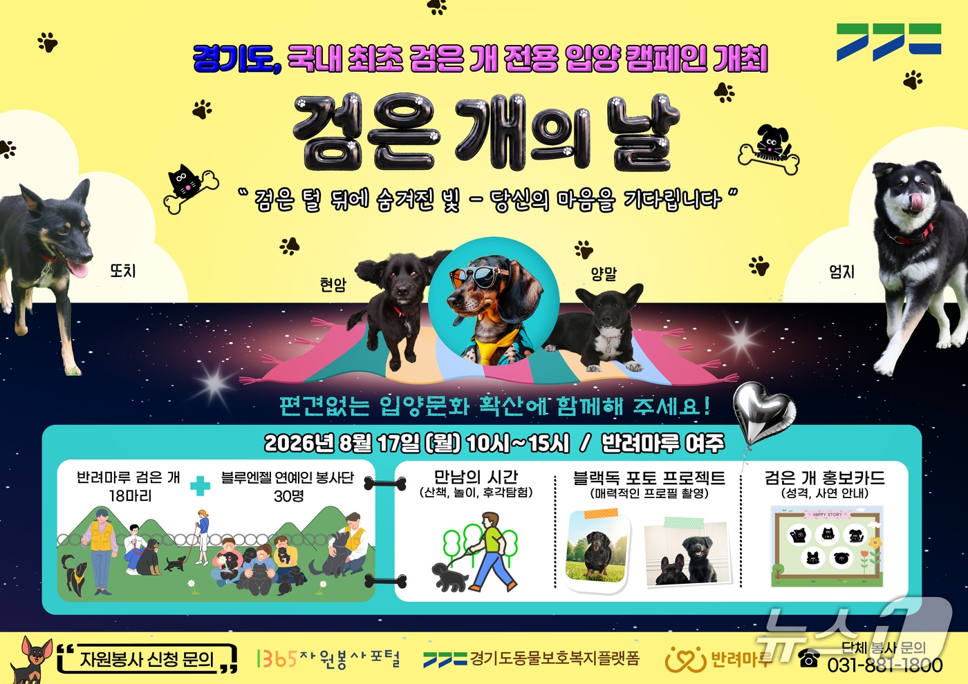 경기도 반려마루에서 열리는 '검은개의 날' 행사 그래픽.(경기도 제공. 재판매 및 DB금지)