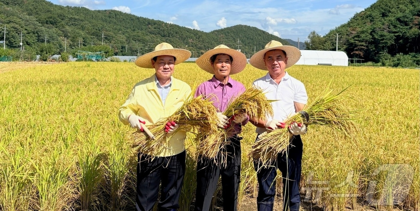 전화식 성주군수(왼쪽)가 14일 용암면 선송리 조용수 씨 논에서 첫 벼베기를 한 벼를 들고 있다. (성주군 제공. 재판매 및 DB금지) ⓒ 뉴스1 정우용 기자