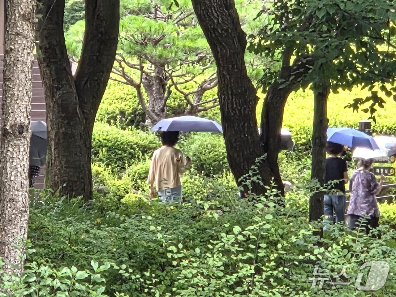 청주시 상당구 미원면에 위치한 충북도 미동산수목원을 찾은 탐방객들이 우산을 쓰고 산책하고 있다.2026.8.16/뉴스1 장인수 기자