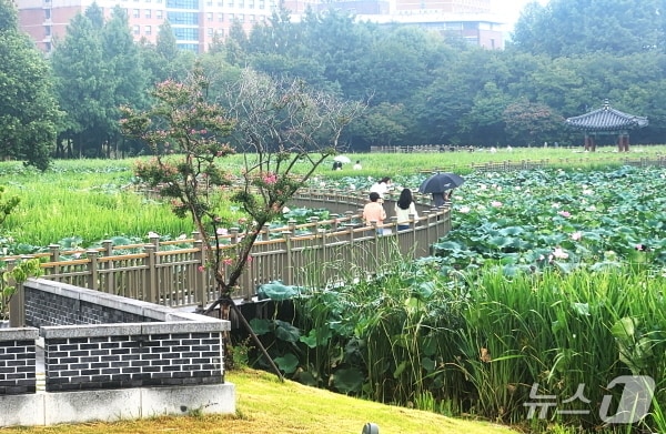 휴일인 16일 오전 비가 오는 날씨에 전북 전주 덕진공원을 찾은 시민들이 산책을 하고 있다./뉴스1 임충식 기자