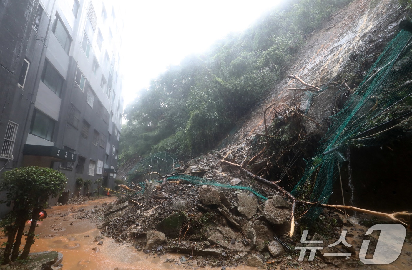 산림청, 대전·충청·전북 산사태 위기 경보 '주의'로 상향