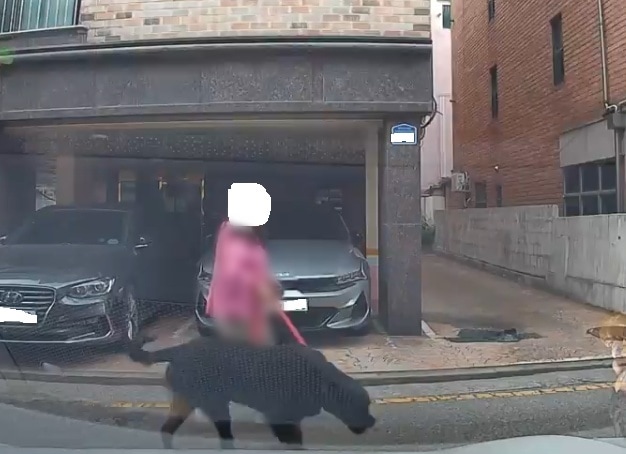 보배드림 갈무리