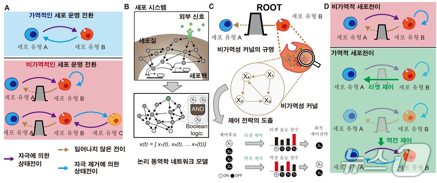 노화&middot;암 치료 연구 새 지표 발견