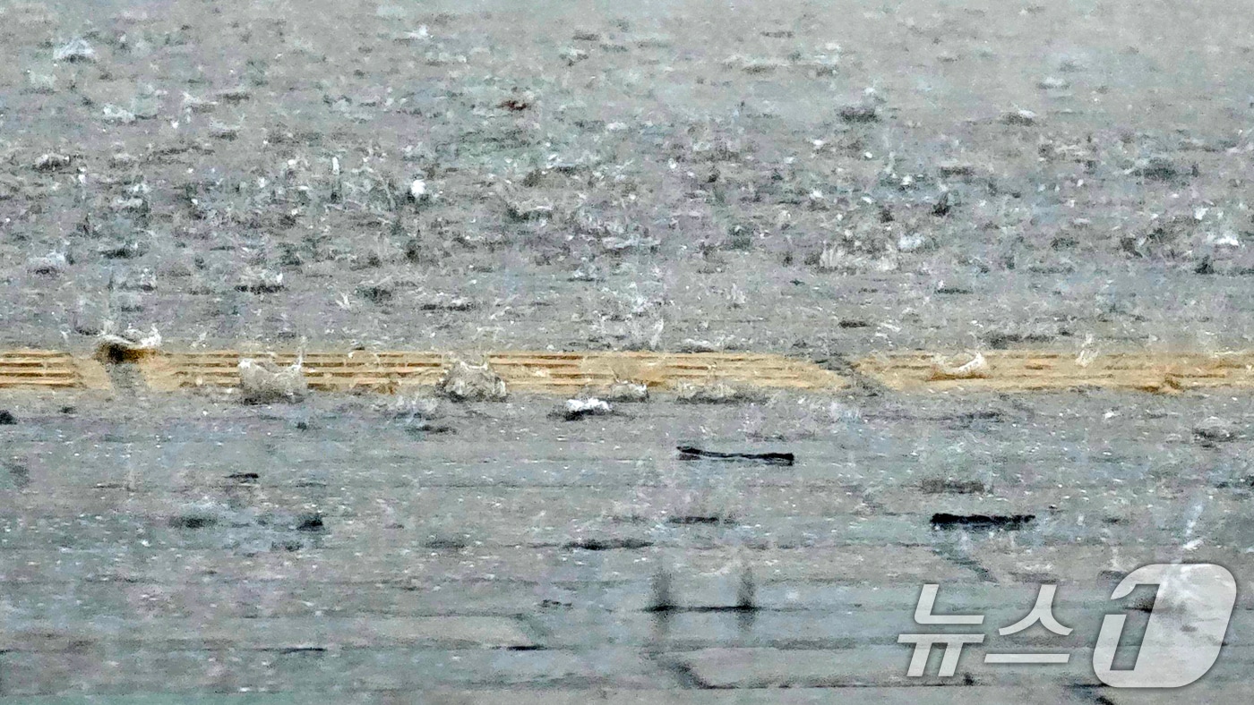(사진은 기사 내용과 무관함) / 뉴스1 ⓒ News1