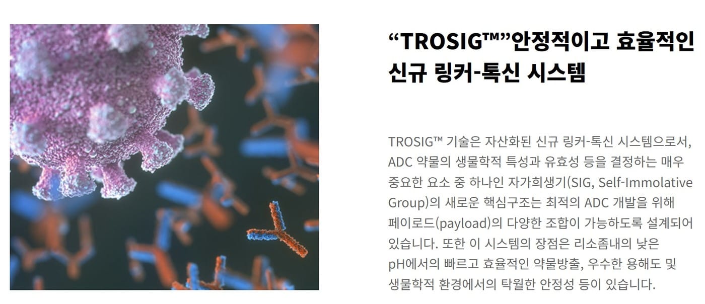 "정상세포 피해 암만 공격"...ADC 후발주자들, 차별화 승부수 - 뉴스 썸네일 이미지
