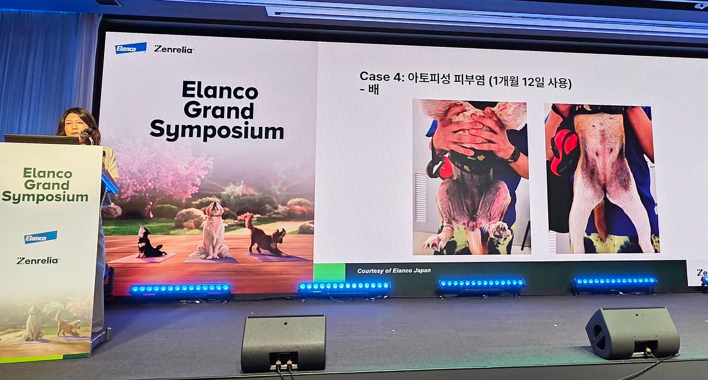 첫날부터 가려움 개선...엘랑코, 반려견 아토피약 '젠네리아' 공개 - 뉴스 썸네일 이미지