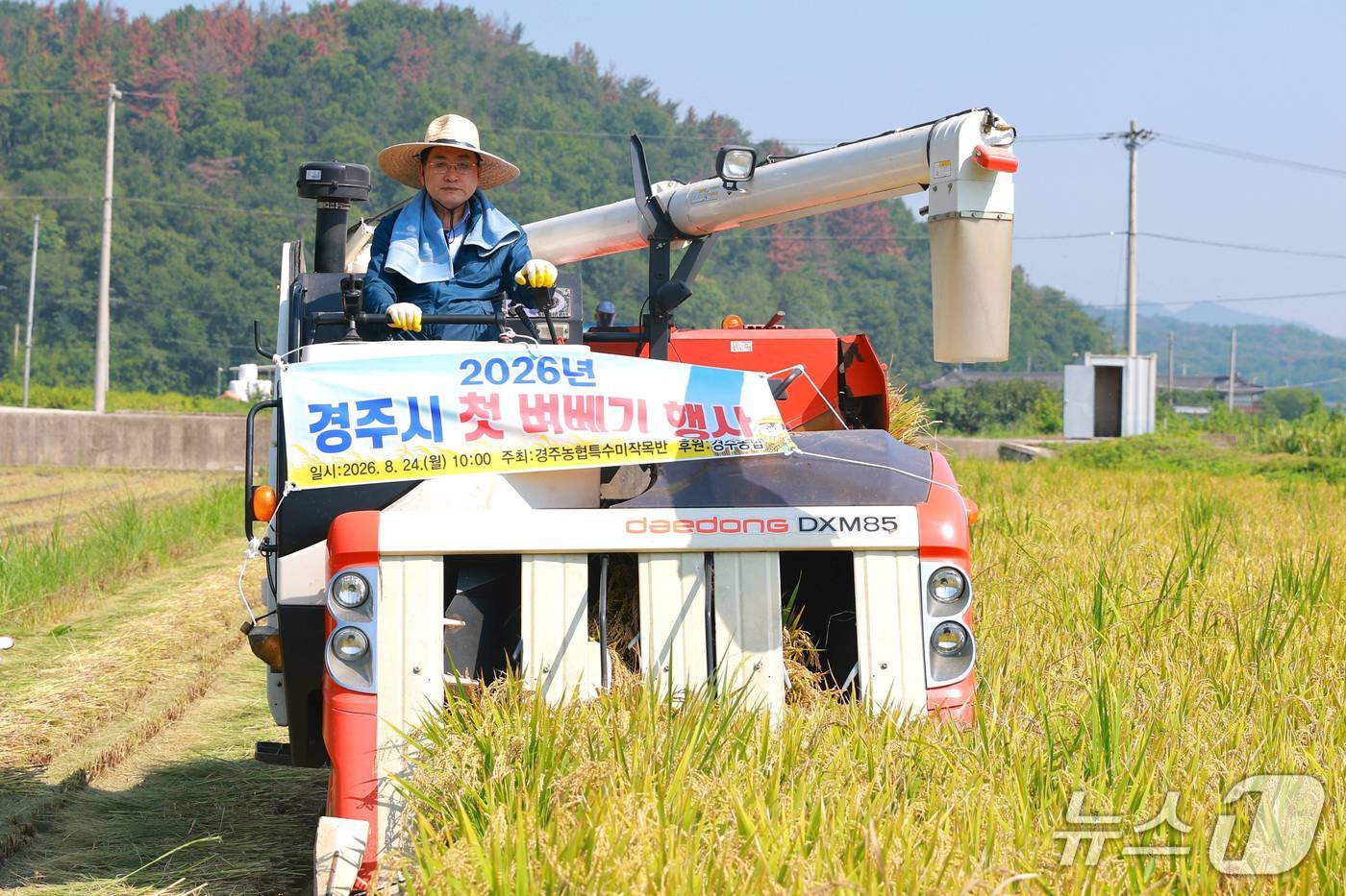 주낙영 경북 경주시장이 24일 사악동 들녘에서 올해 첫 벼 수확을 하고 있다. (경주시제공, 재판매 및 DB금지) 2026.8.24/뉴스1