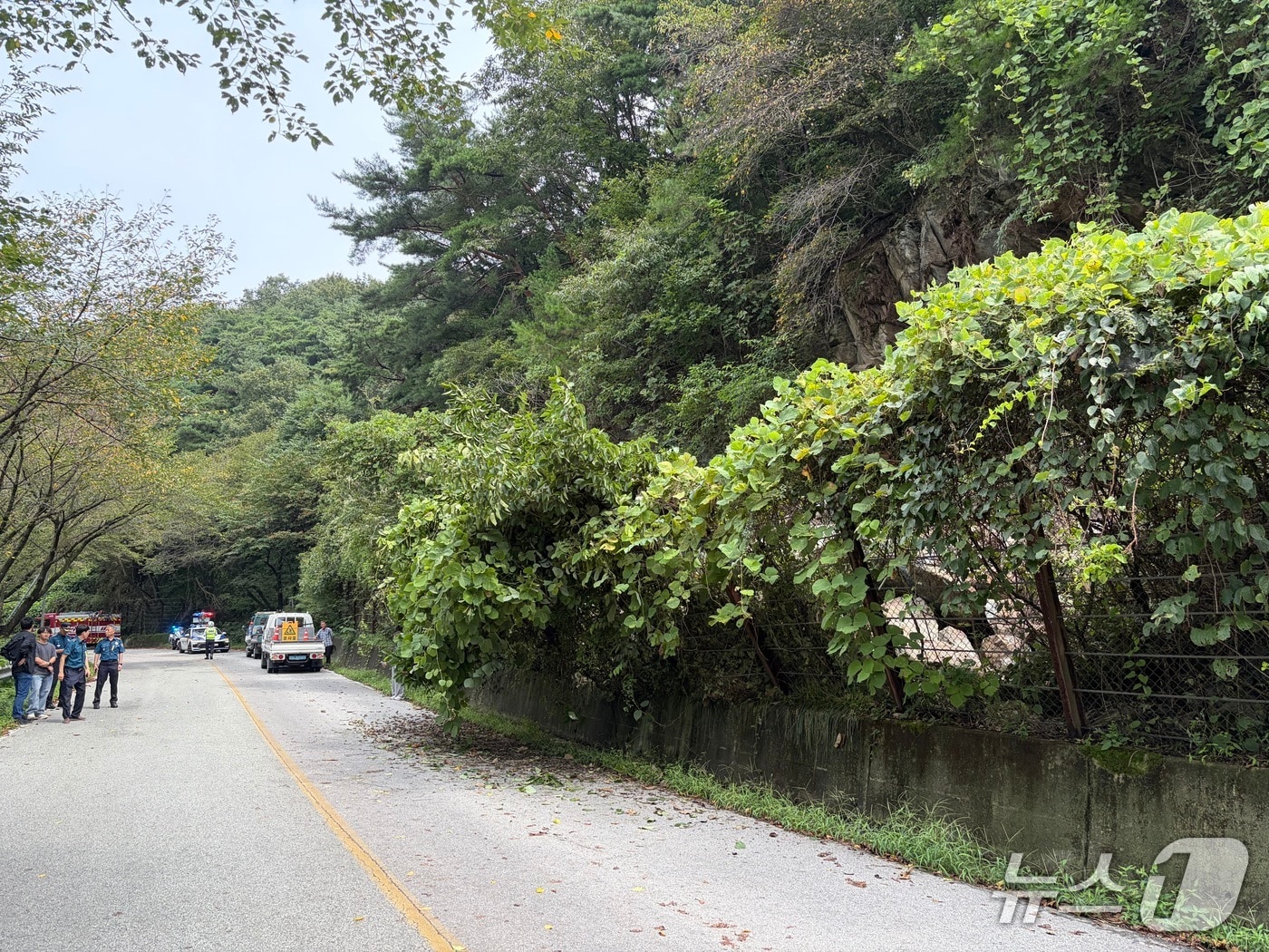 지난 21일 오전 10시 58분쯤 전남광주 담양군 용면 지방도에 낙석이 발생해 관계당국이 안전조치하고 있다.(전남광주통합소방본부 제공. 재판매 및 DB 금지)
