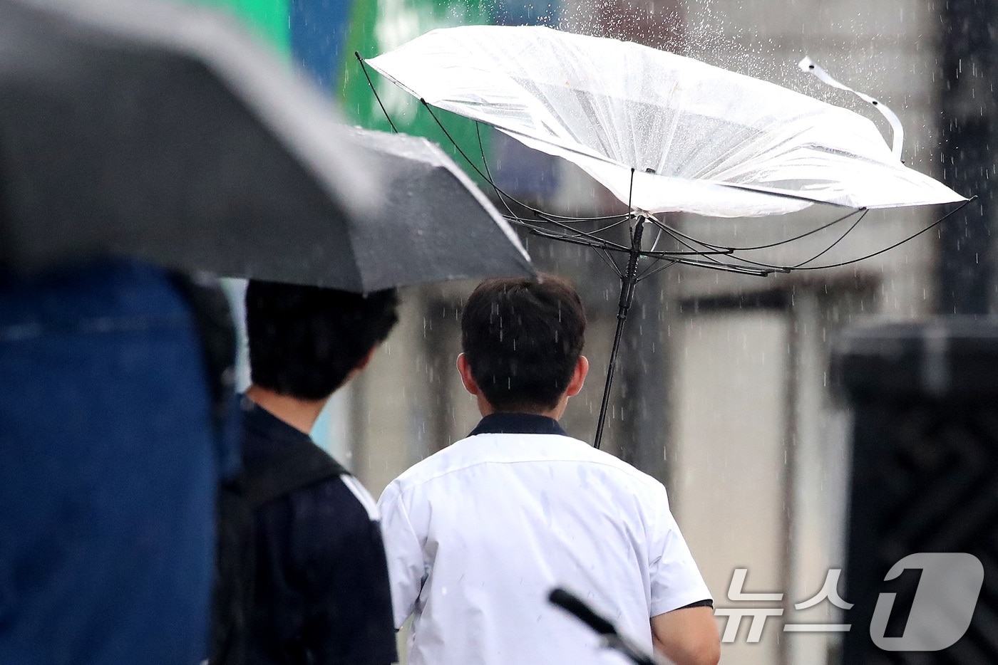 27일 오후 대구 수성구 달구벌대로 담티고개 인근에 천둥번개를 동반한 비가 내리자 하굣길 한 학생이 뒤집힌 우산으로 비를 피하며 발걸음을 재촉하고 있다. 2026.8.27 ⓒ 뉴스1 공정식 기자