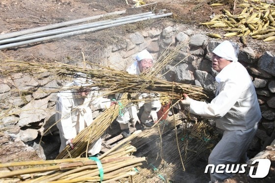 강원특별자치도 무형문화재 제34호 평창방림삼베민속 자료사진. (재판매 및 DB금지) /뉴스1