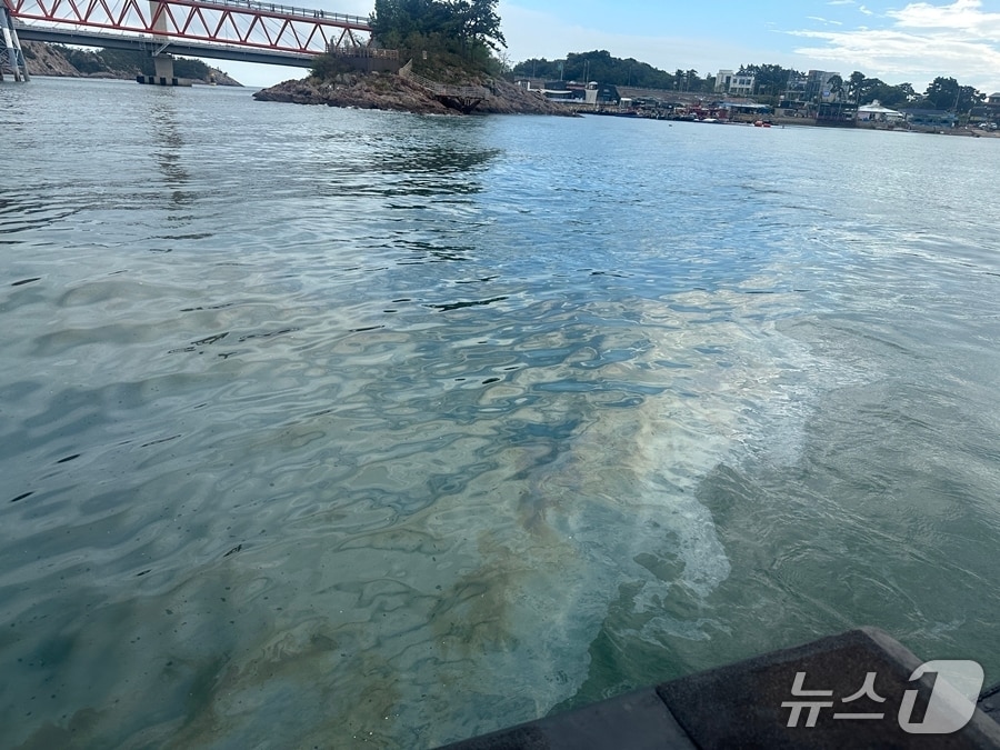 군산 장자대교 인근 해상 1km 기름띠 발생…해경 조사 착수