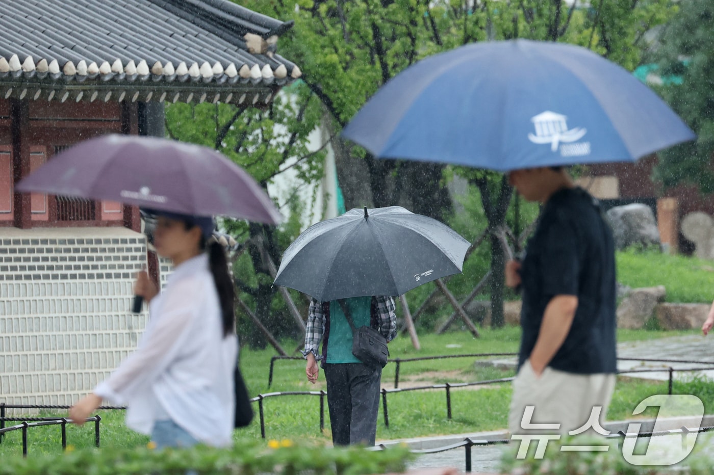 시민들이 우산을 쓰고 이동하고 있다. (뉴스1 자료사진)