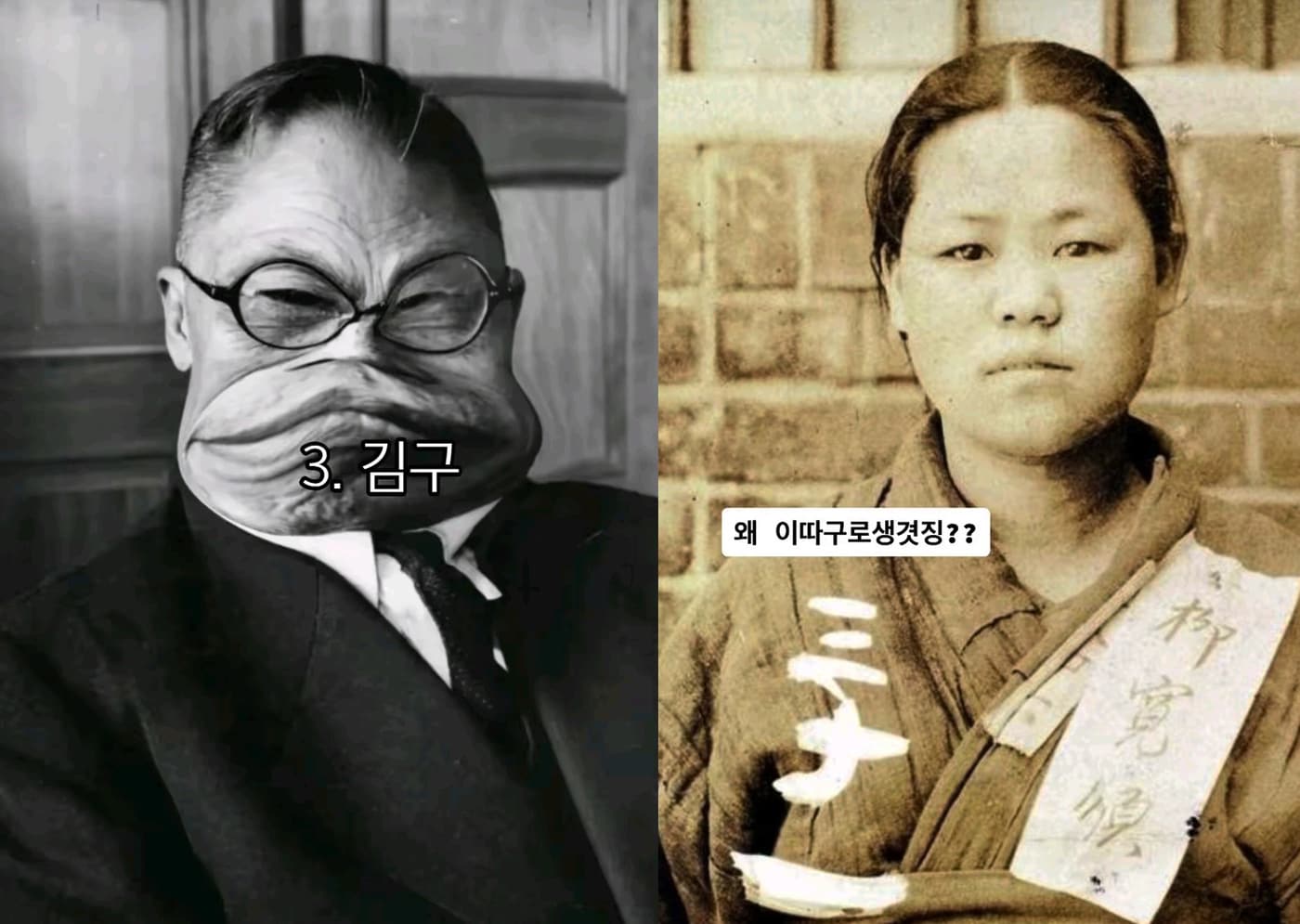 서경덕 교수 제공