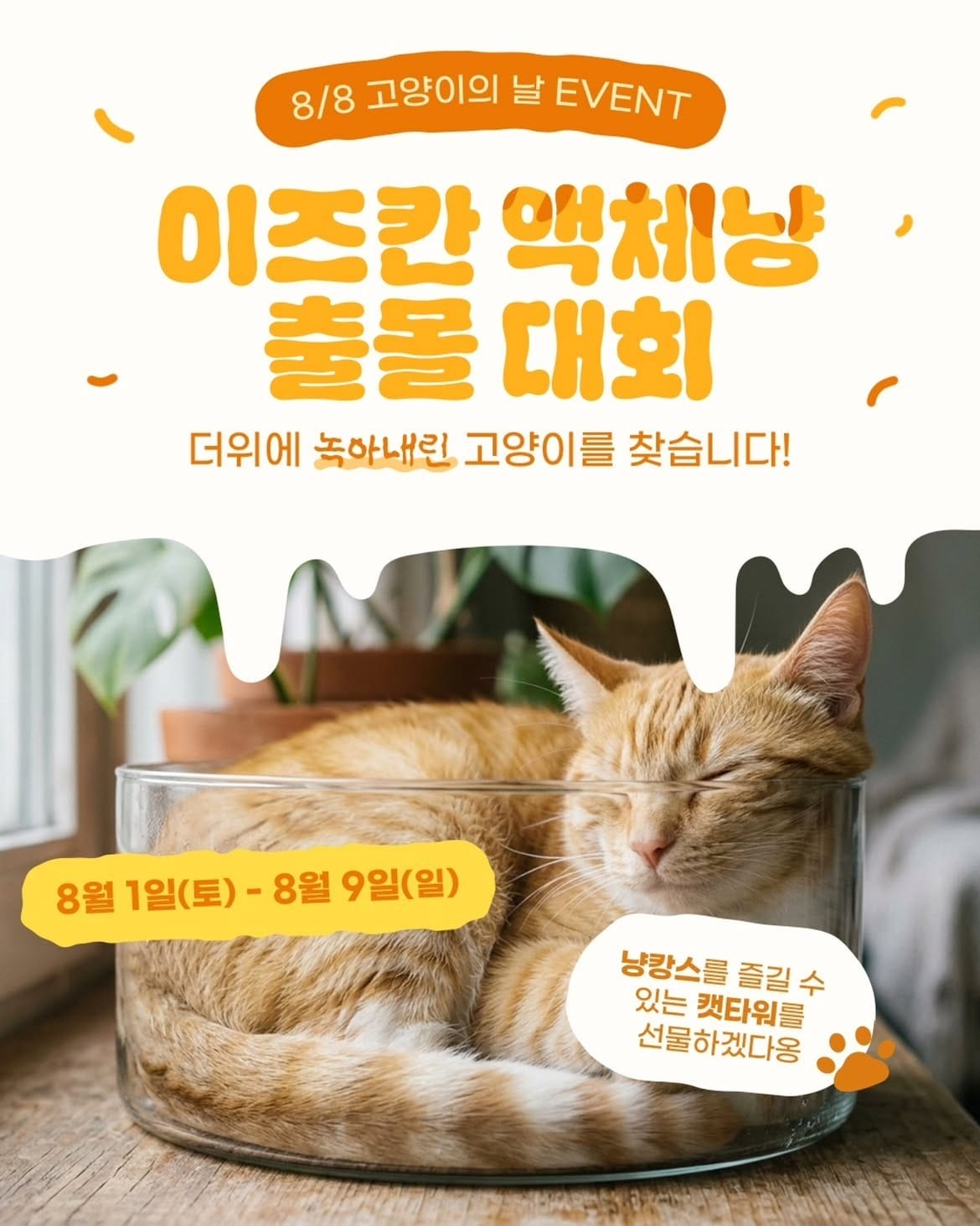 "더위에 녹아내린 액체냥 찾아요"...이즈칸, 고양이의 날 이벤트 - 뉴스 썸네일 이미지