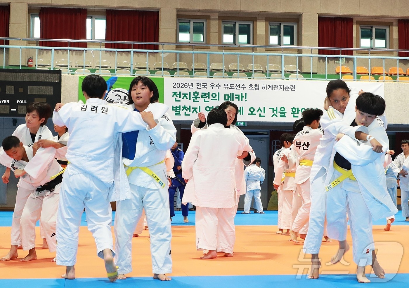 경북 영양군은 5일 영양군민회관에서 전국 33개 팀, 선수와 지도자 578명이 참가하는 ‘2026년 하계 유도 전지훈련’을 오는 14일까지 운영한다. /뉴스1