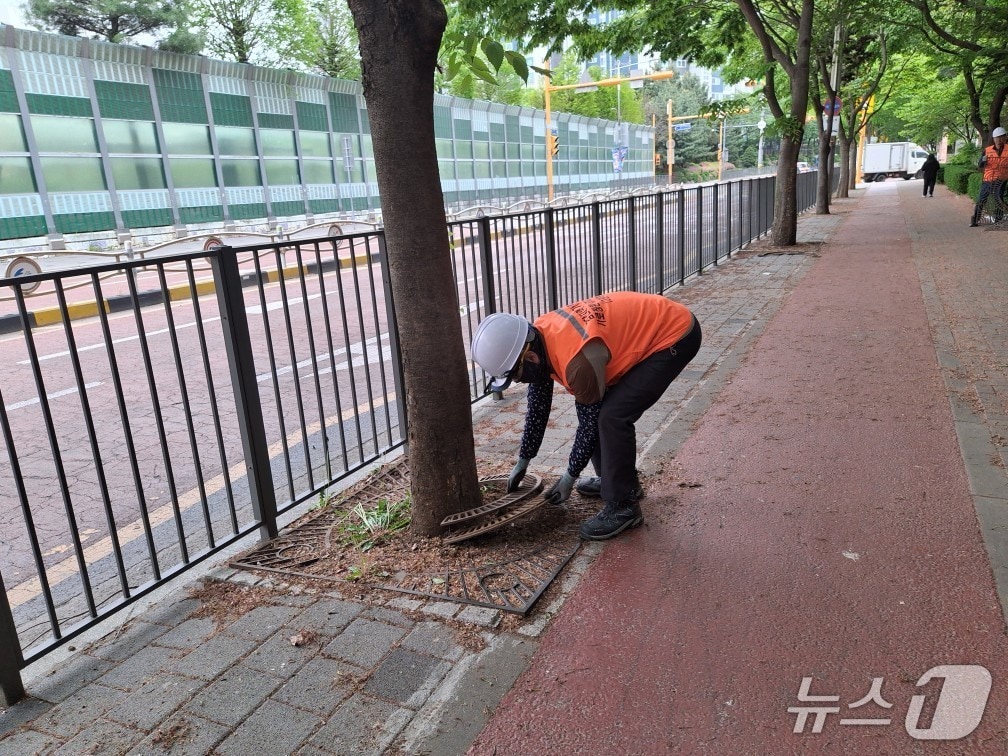 가로수 철제보호판 정비 작업(인천 검단구 제공/뉴스1)