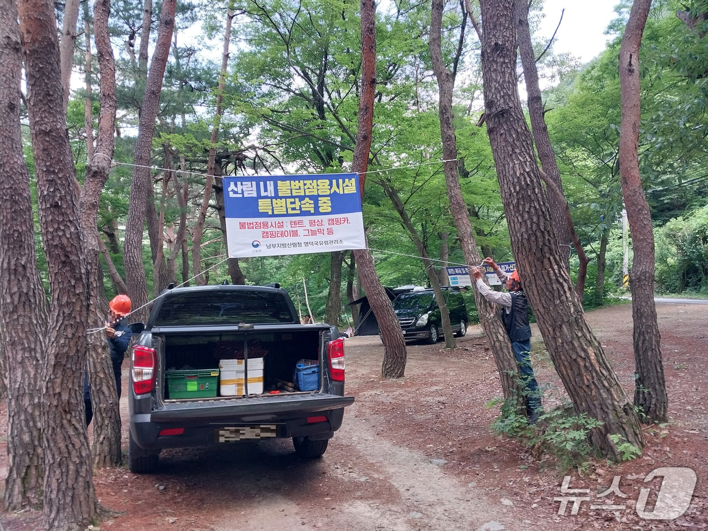 산림청 영덕국유람관리소가 여름 휴가철을 맞아 오는 31일까지 산림 계곡에서의 불법 행위에 대한 집중 단속에 나선다.(영덕국유림관리소 제공, 재판매 및 DB금지) 2026.8.6/뉴스1