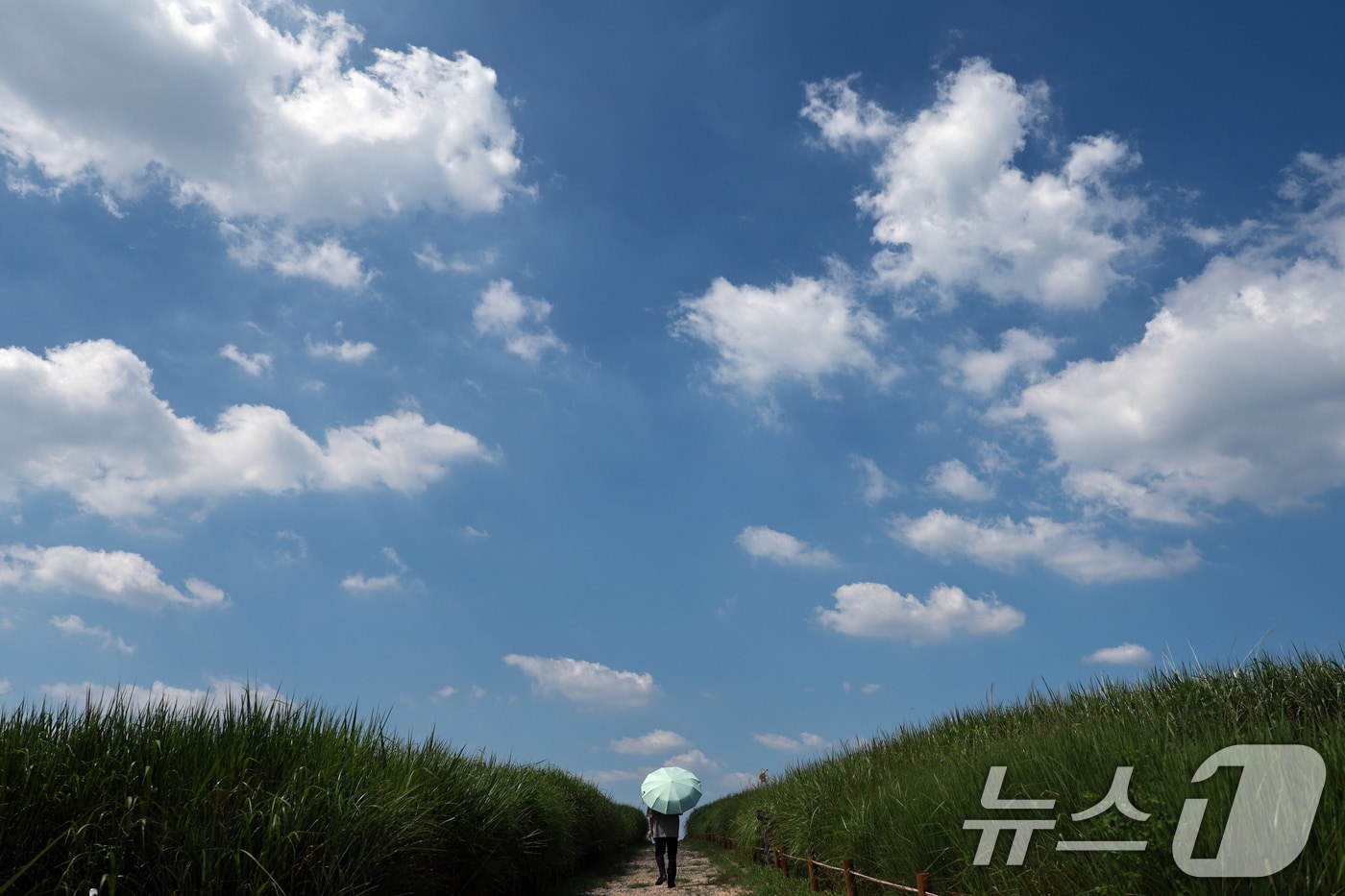 (뉴스1 DB) ⓒ 뉴스1 구윤성 기자