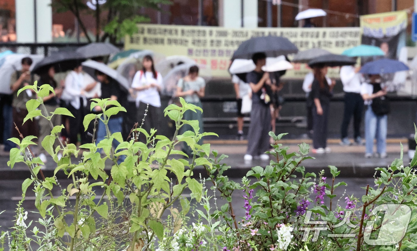 서울 종로구 광화문광장 일대에서 시민들이 우산을 쓴 채 발걸음을 옮기고 있다. 2026.9.1 ⓒ 뉴스1 이종수 기자