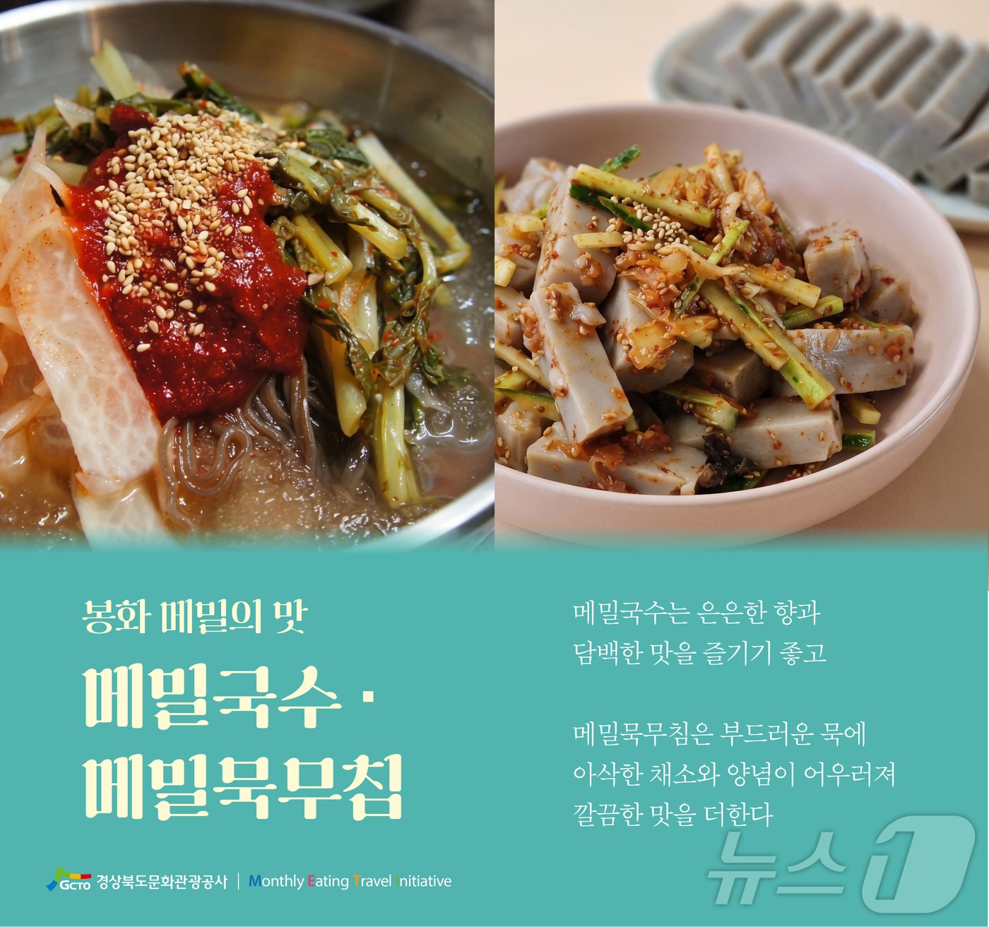 경북문화관광공사는 1일 봉화 메밀과 포항 개복치를 소개하는 ‘경북 미식여행 METI’ 9월호를 공개했다. /뉴스1