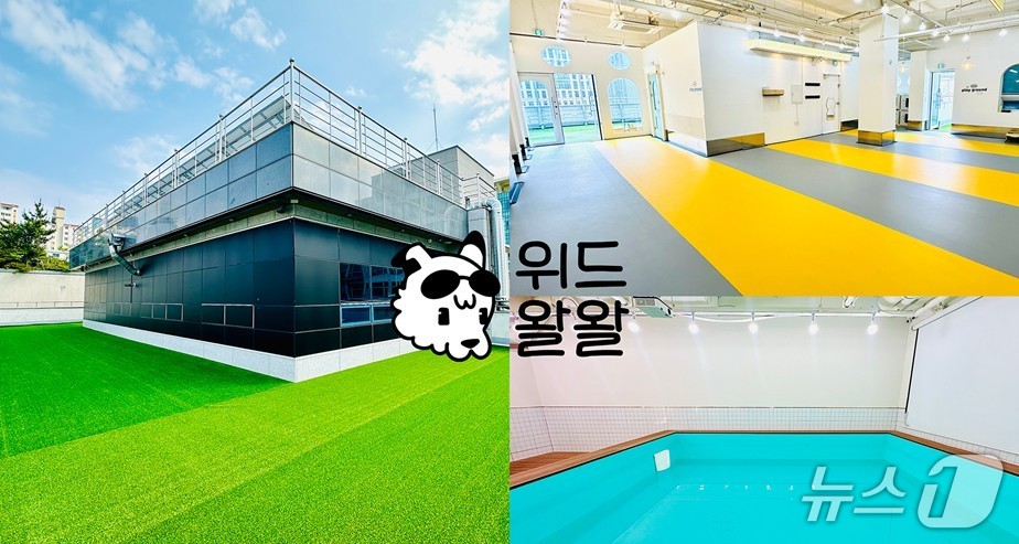 강아지 유치원 위드왈왈 3호점 모습 (회사 제공. 재판매 및 DB금지)