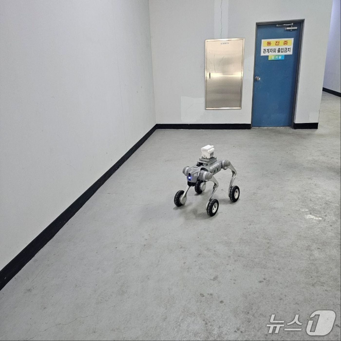 AI 4족 보행 로봇 (양주시 제공. 재판매 및 DB 금지)