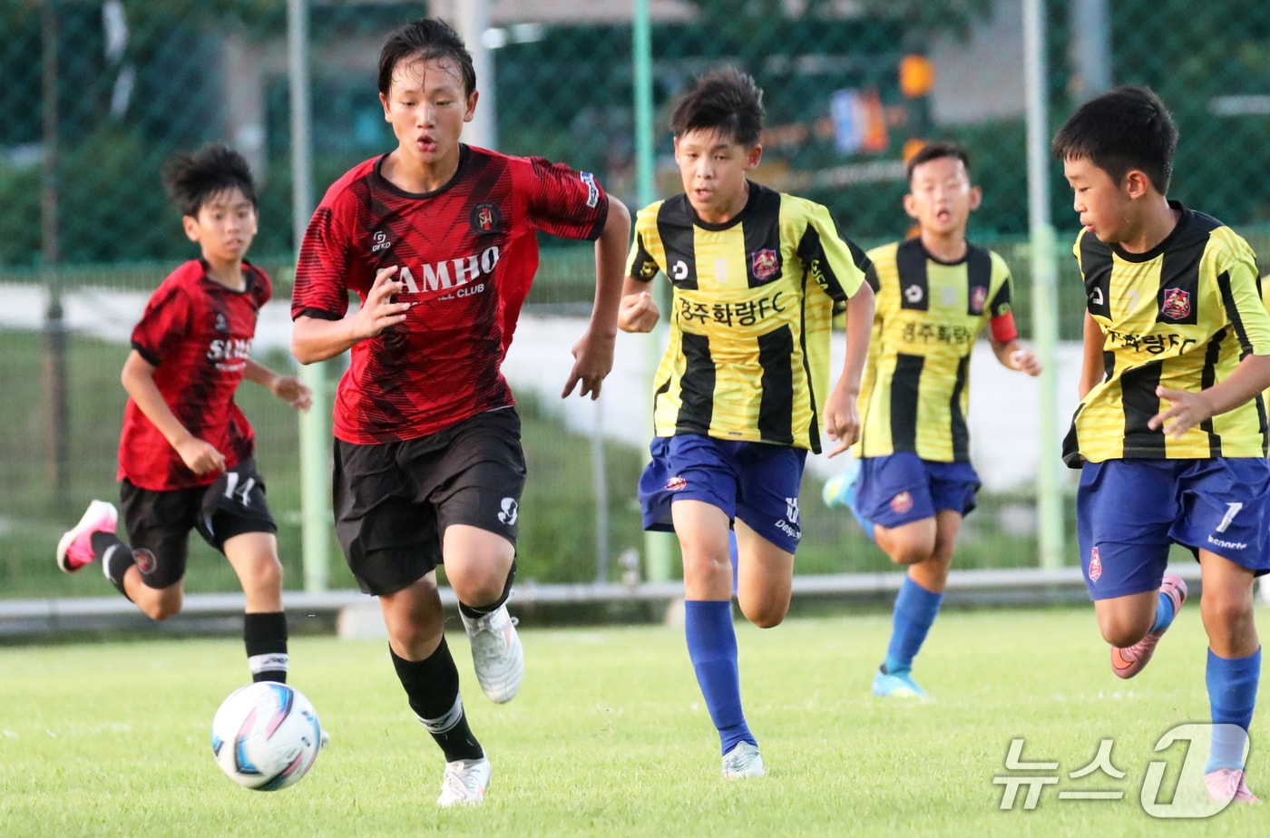 2026 화랑대기 유소년 축구대회 모습. (경주시 제공. 재판매 및 DB 금지) 2026.9.13/뉴스1