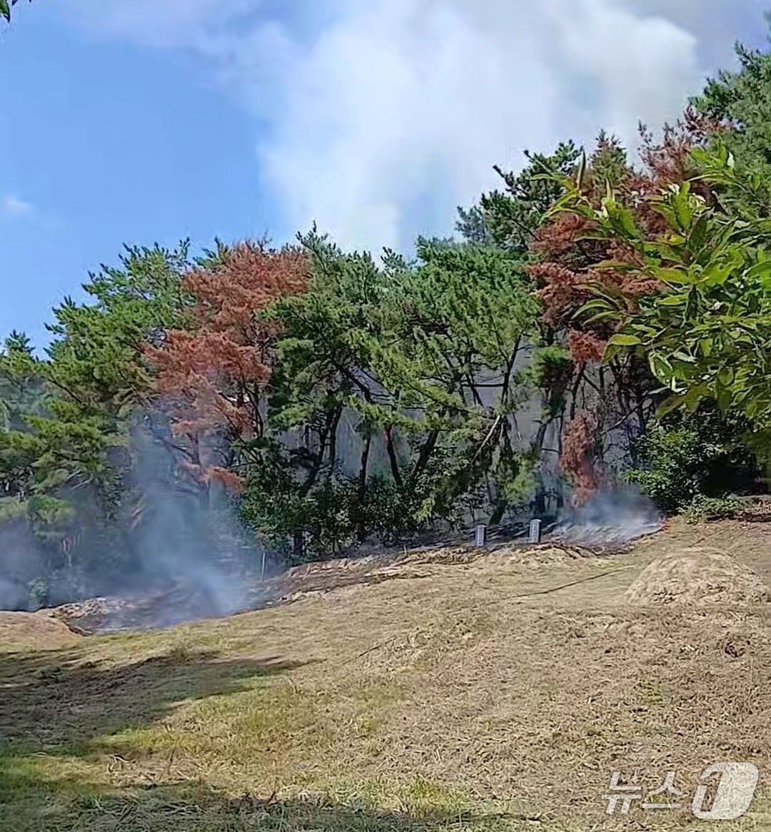 13일 오후 1시 9분쯤 대구 달성군 옥포읍 강림리 야산에서 불이 났다.(대구소방본부 제공. 재판매 및 DB 금지)