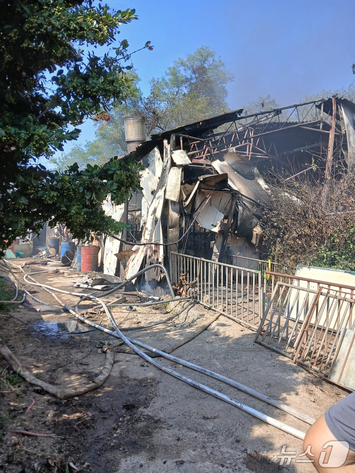 15일 오후 1시 25분쯤 전남광주 영광군 법성면 월산로의 한 돈사에서 화재가 발생했다.(전남광주소방본부 제공. 재판매 및 DB 금지)